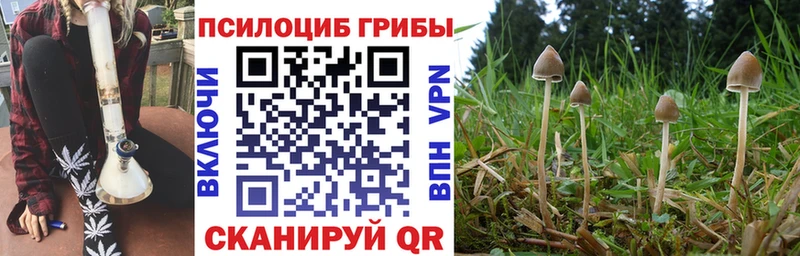 Галлюциногенные грибы GOLDEN TEACHER  Таганрог 